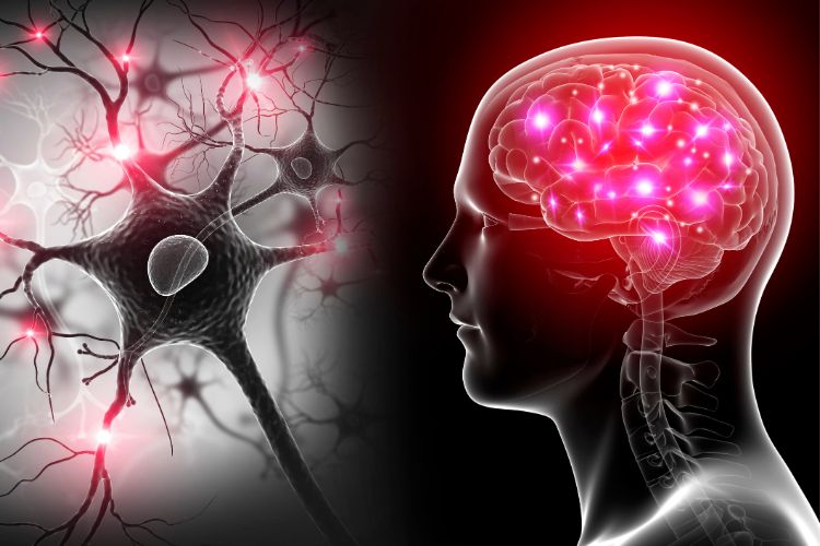Improved Nervous System Function: