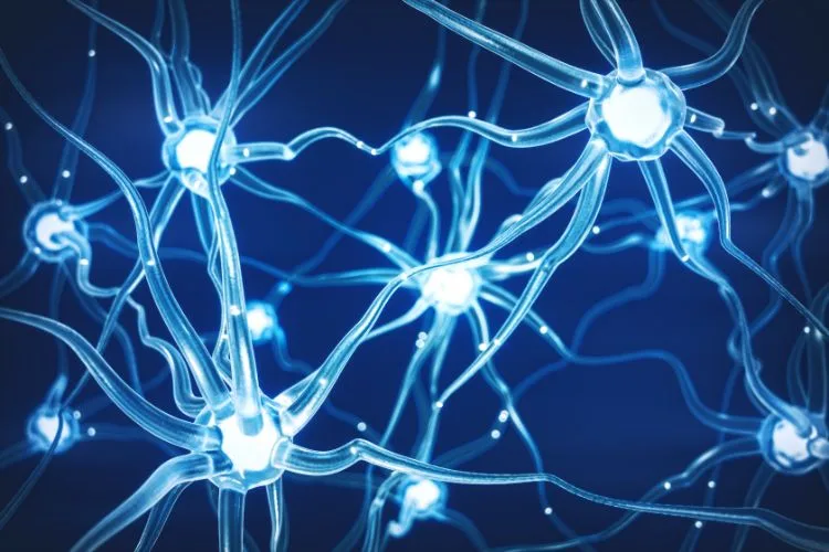 Enabling Robust Recovery Pathways with Upper Cervical Care