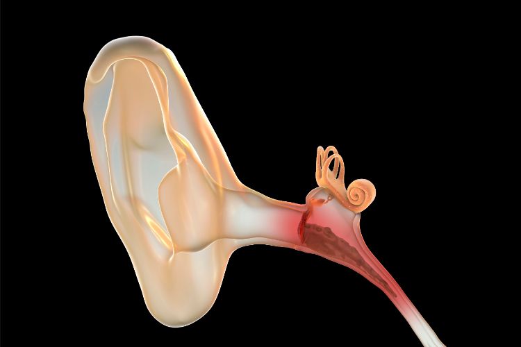 The Upper Cervical Spine and Ear Infection Connection