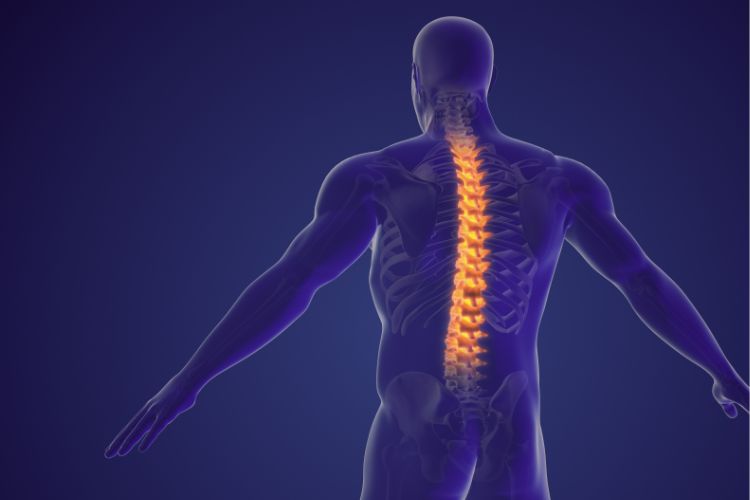 Maintaining Spinal Alignment: The Fundamentals of Upper Cervical Chiropractic