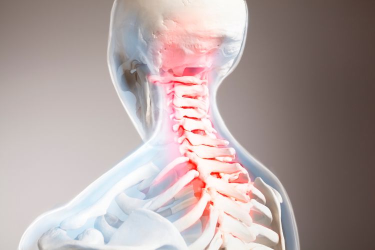 Section 1- Understanding the Upper Cervical Spine
