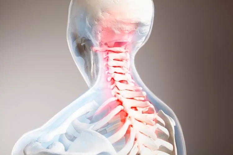 Section 1- Understanding the Upper Cervical Spine