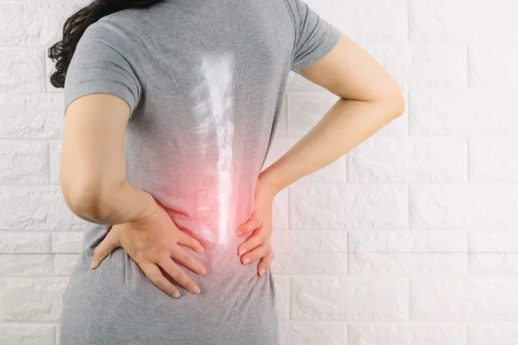 Section 2 The Principles of Upper Cervical Chiropractic Care