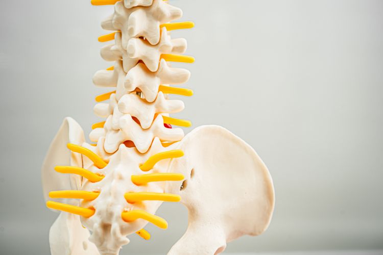 Understanding Herniated Discs