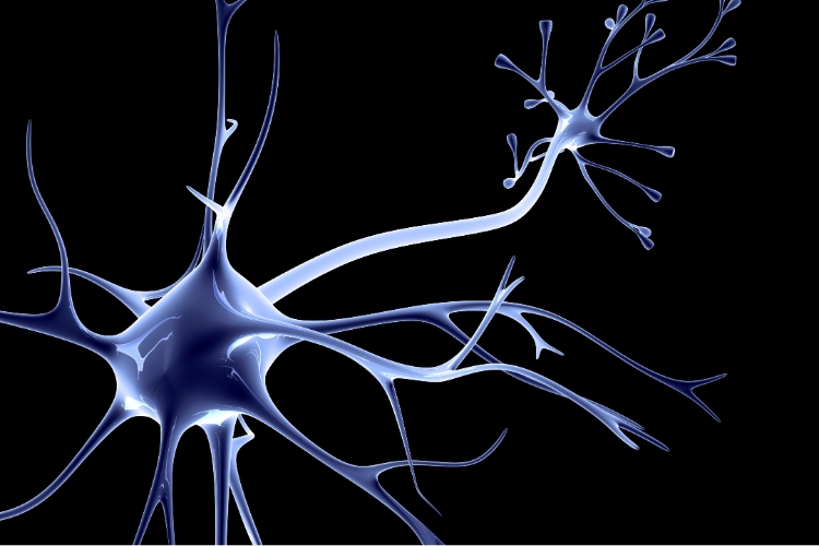 How Upper Cervical Chiropractic Addresses Occipital Neuralgia