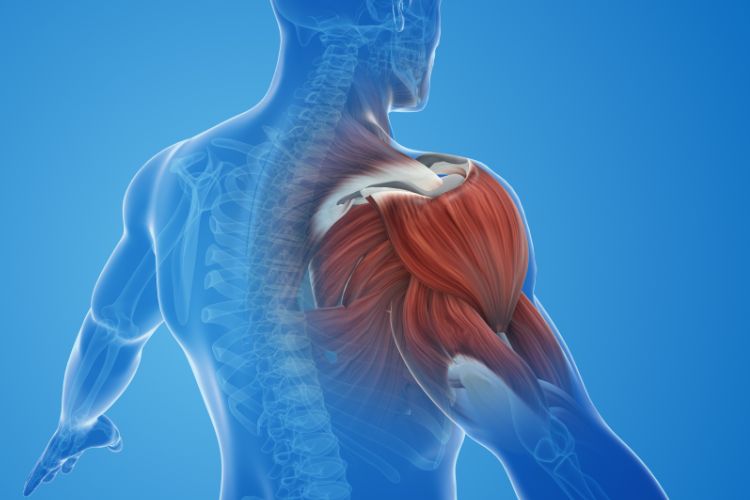 Understanding Shoulder Impingement Syndrome