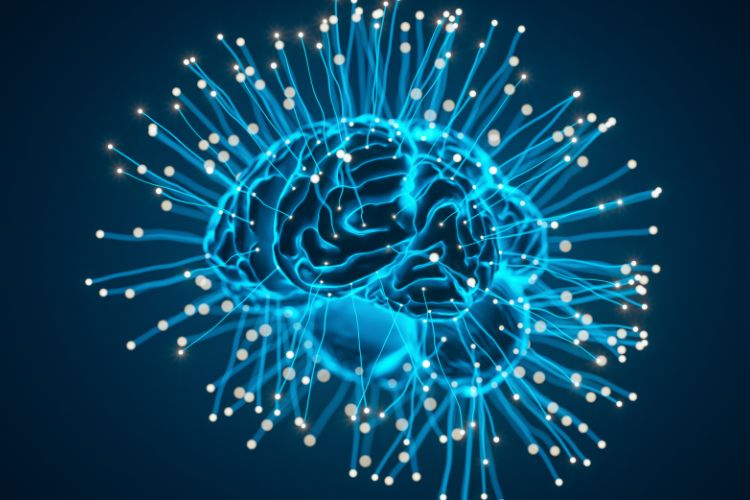 How Upper Cervical Chiropractic May Boost Brain Performance