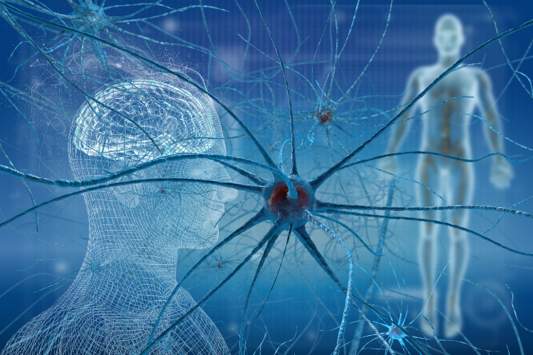 How Upper Cervical Chiropractic Supports CNS Health