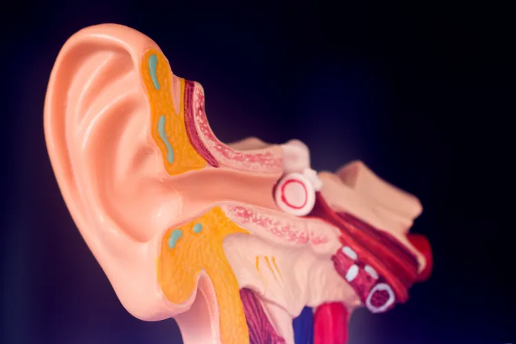 The Upper Cervical-Spine Connection to Inner Ear Function