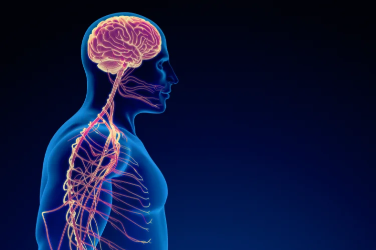 How Upper Cervical Chiropractic Helps