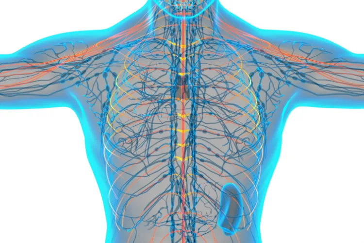How Upper Cervical Chiropractic Approaches Vertigo Relief