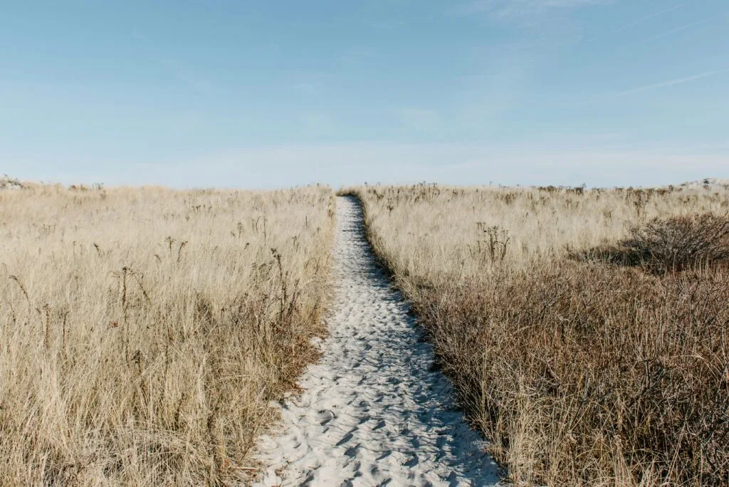 The Myth of the Reveal: Why Your Focus on the Finish Line is Killing Your Progress