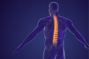 Maintaining Spinal Alignment: The Fundamentals of Upper Cervical Chiropractic