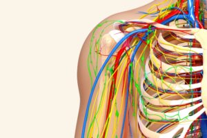 Unlocking Relief: Upper Cervical Chiropractic for Thoracic Outlet Syndrome