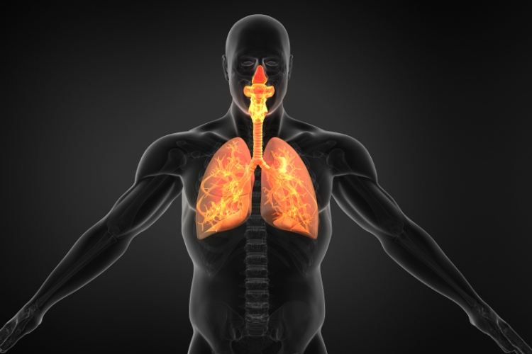 The Connection Between Upper Cervical Chiropractic and Asthma Relief