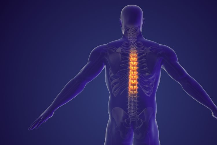 The Essential Connection: Understanding the Relationship Between Upper Cervical Health and Spinal Alignment