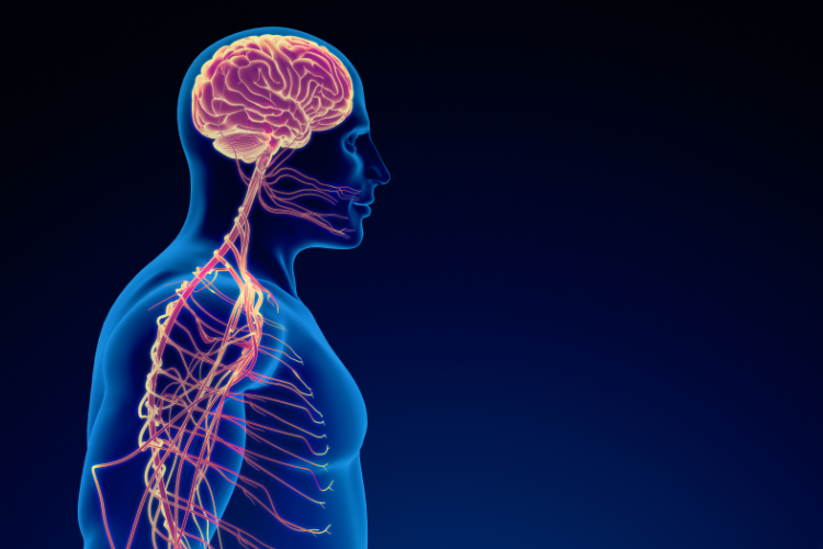 How Upper Cervical Chiropractic Helps