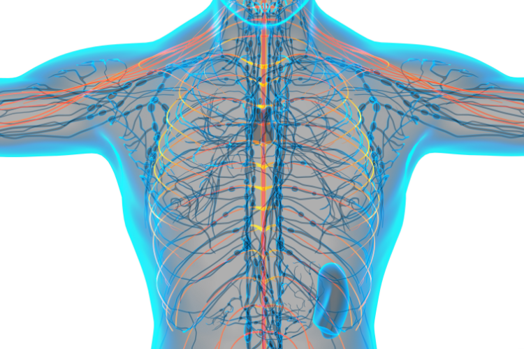 How Upper Cervical Chiropractic Approaches Vertigo Relief